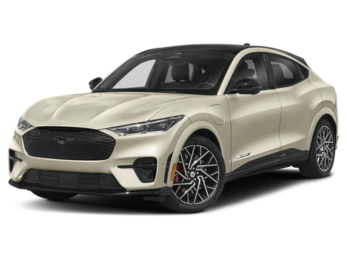 2025 Ford Mustang Mach-E GT Bronze Appearance Pack