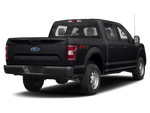2019 Ford F-150 XL STX Sport Appearance