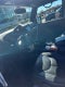 2018 Jeep Wrangler JK Unlimited Altitude