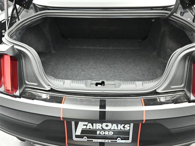 2017 Ford Mustang Shelby GT350 R