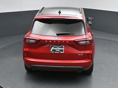2024 Ford Escape ST-Line