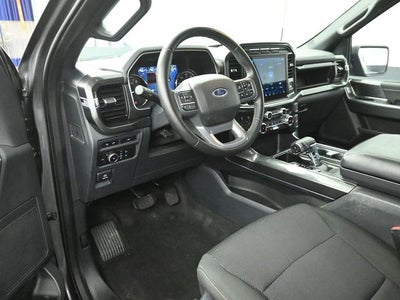 2023 Ford F-150 XLT 6.5FT Long Bed