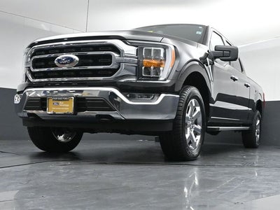 2023 Ford F-150 XLT 6.5FT Long Bed