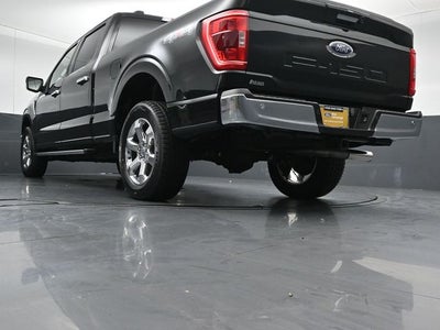 2023 Ford F-150 XLT 6.5FT Long Bed