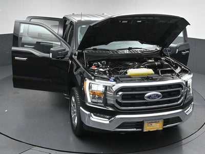 2023 Ford F-150 XLT 6.5FT Long Bed