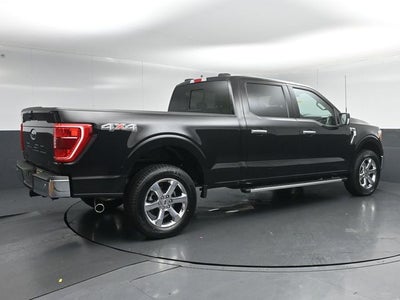 2023 Ford F-150 XLT 6.5FT Long Bed
