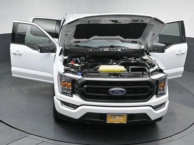 2023 Ford F-150 XLT 5.5FT Short Bed