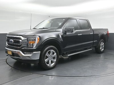 2023 Ford F-150 XLT 6.5FT Long bed