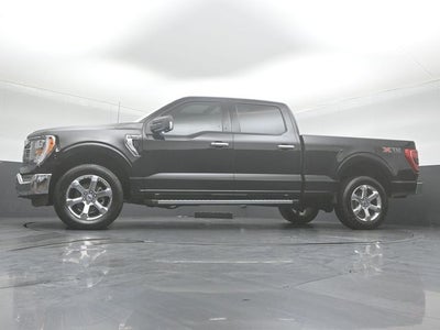 2023 Ford F-150 XLT 6.5FT Long bed