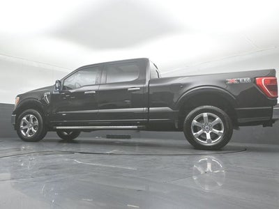 2023 Ford F-150 XLT 6.5FT Long bed