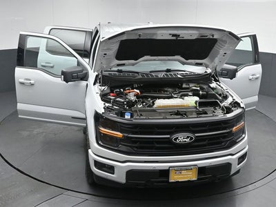 2024 Ford F-150 XLT 5.5FT Short Bed