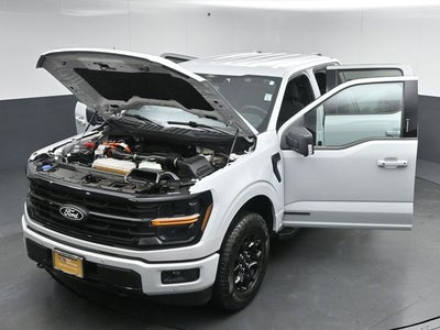 2024 Ford F-150 XLT 5.5FT Short Bed