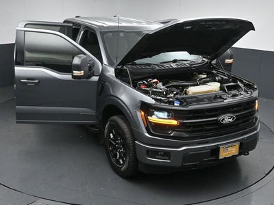 2024 Ford F-150 XLT 5.5FT Short Bed