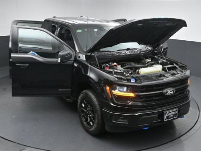 2024 Ford F-150 XLT Special Edition 67/800