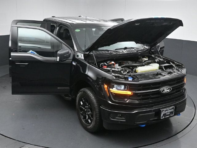 2024 Ford F-150 XLT Special Edition 67/800