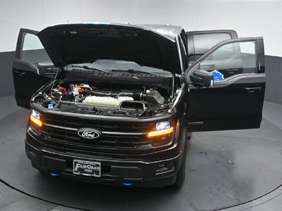 2024 Ford F-150 XLT Special Edition 67/800