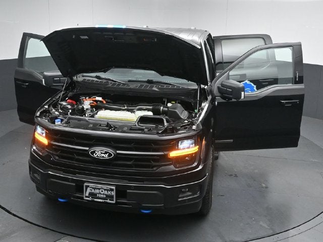 2024 Ford F-150 XLT Special Edition 67/800