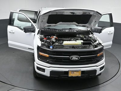 2024 Ford F-150 XLT 5.5FT Short Bed