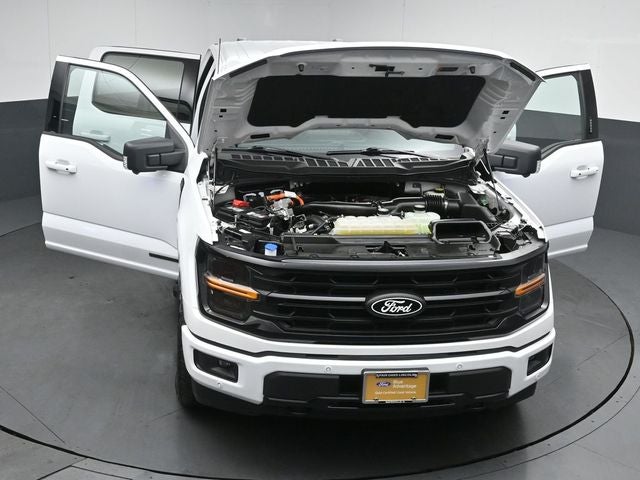 2024 Ford F-150 XLT 5.5FT Short Bed
