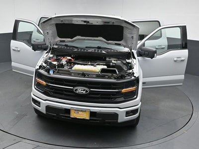 2024 Ford F-150 XLT 5.5FT Short Bed