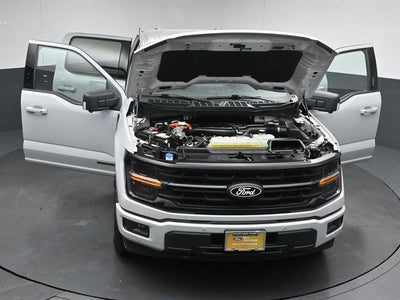 2024 Ford F-150 XLT 5.5FT Short Bed