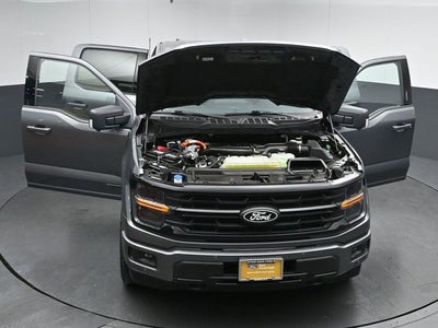 2024 Ford F-150 XLT 5.5FT Short Bed