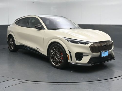 2025 Ford Mustang Mach-E GT Bronze Appearance Pack