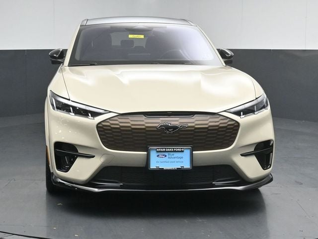 2025 Ford Mustang Mach-E GT Bronze Appearance Pack