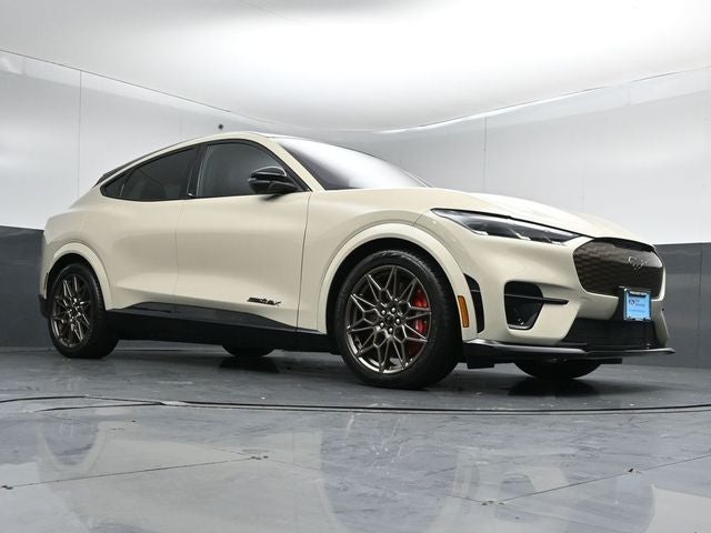 2025 Ford Mustang Mach-E GT Bronze Appearance Pack