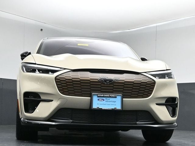 2025 Ford Mustang Mach-E GT Bronze Appearance Pack