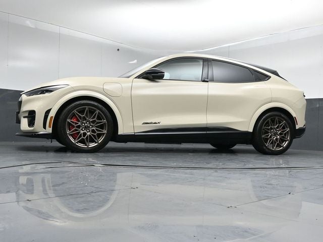 2025 Ford Mustang Mach-E GT Bronze Appearance Pack