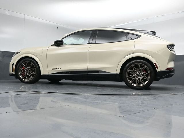 2025 Ford Mustang Mach-E GT Bronze Appearance Pack