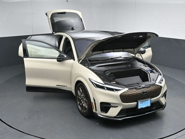 2025 Ford Mustang Mach-E GT Bronze Appearance Pack