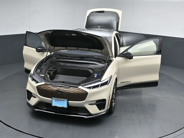 2025 Ford Mustang Mach-E GT Bronze Appearance Pack