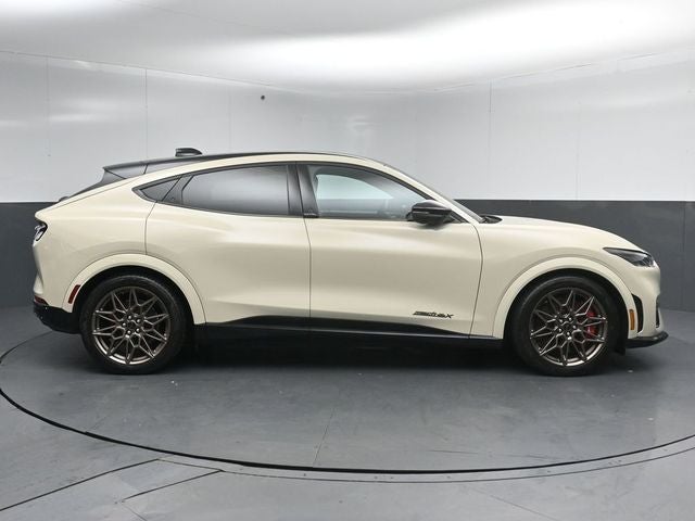 2025 Ford Mustang Mach-E GT Bronze Appearance Pack