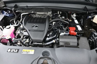 2024 Lexus TX 350 Luxury