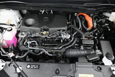 2025 Toyota Sienna XLE 7 Passenger