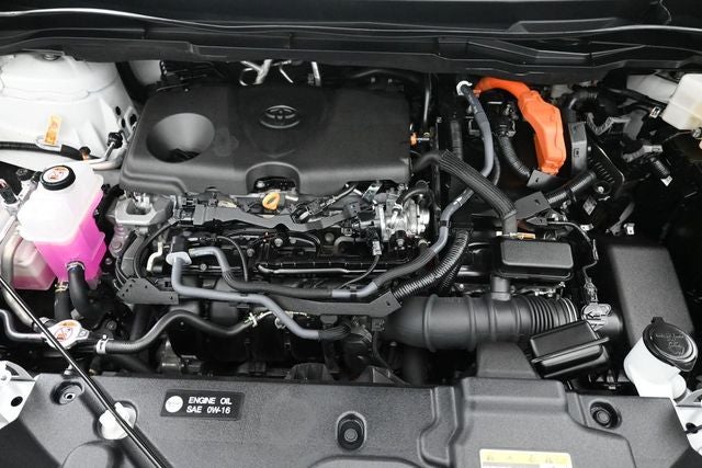 2025 Toyota Sienna XLE 7 Passenger