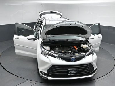2025 Toyota Sienna XLE 7 Passenger