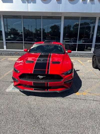 2019 Ford Mustang EcoBoost