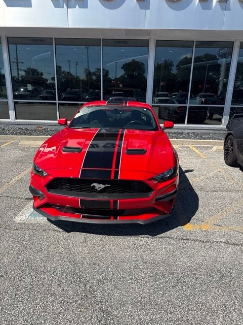2019 Ford Mustang EcoBoost
