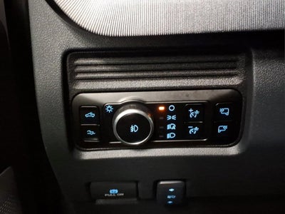 2025 Ford F-250 Super Duty Platinum