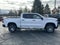 2019 Chevrolet Silverado 1500 LT Trail Boss 2LT Z71